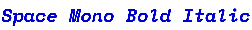 Space Mono Bold Italic font
